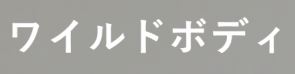 WILD BODY ワイルドボディ