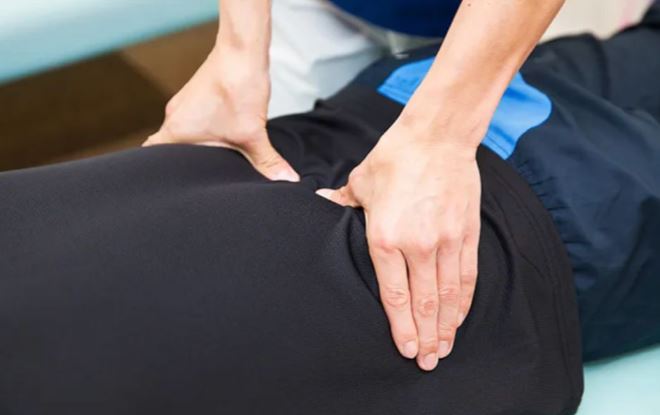 WILD BODY ワイルドボディ