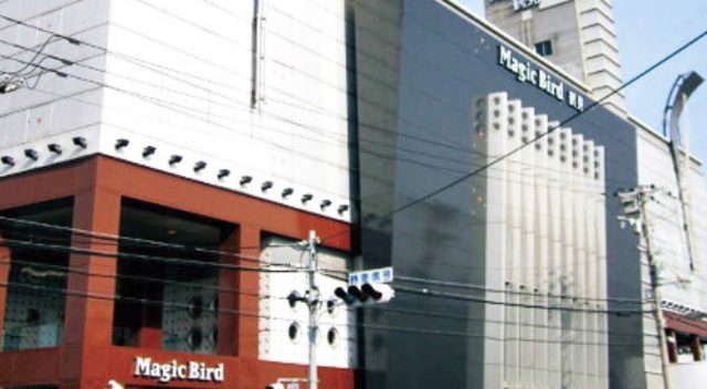 マジックバード鶴見