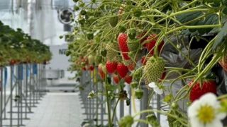 東海アグリハウス株式会社