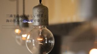 Loriga 三浦半島食蔵