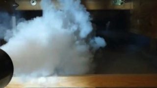 害虫獣SOS～害虫・害獣駆除(東京支店)