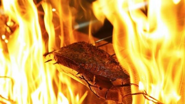 藁焼き鰹たたき明神丸 高松店