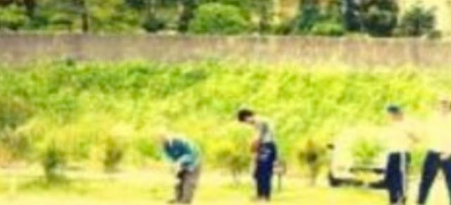 風ととくべえ 社会福祉法人七草会